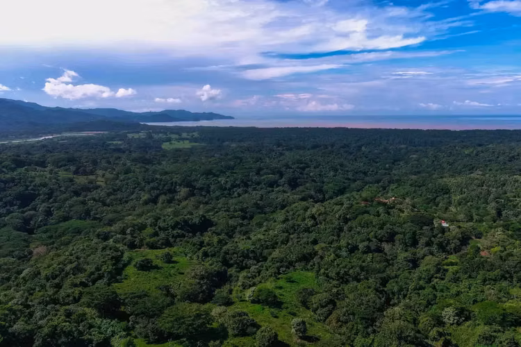 Terreno Garabito: Lote de 4 Acres en Comunidad Eco Desarrollo