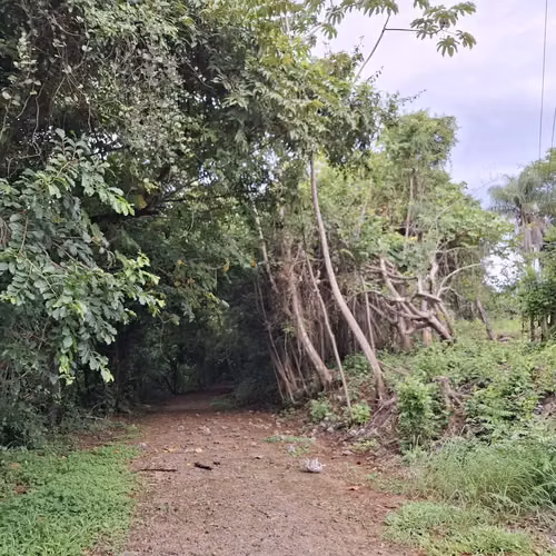 Terreno Garabito: Lote de 4 Acres en Comunidad Eco Desarrollo - Imagen 8