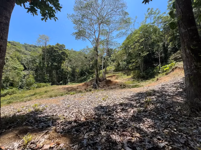 Terreno de primera categoría de 5028 m² para desarrollo en Jacó, Costa Rica: un sinfín de posibilidades le esperan. - Imagen 7