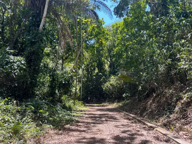 Terreno de primera categoría de 5028 m² para desarrollo en Jacó, Costa Rica: un sinfín de posibilidades le esperan. - Imagen 2