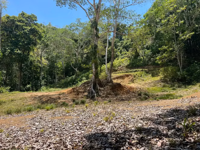 Terreno de primera categoría de 5028 m² para desarrollo en Jacó, Costa Rica: un sinfín de posibilidades le esperan.