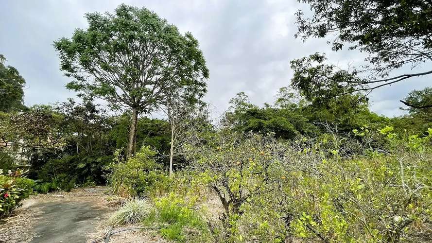 AMPLIA PROPIEDAD CON CASA EN VENTA EN ZARAGOZA, PALMARES