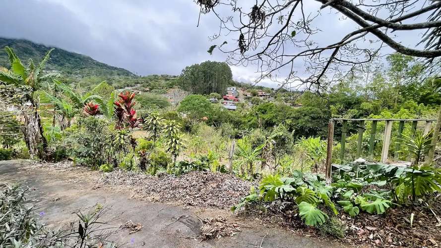 AMPLIA PROPIEDAD CON CASA EN VENTA EN ZARAGOZA, PALMARES