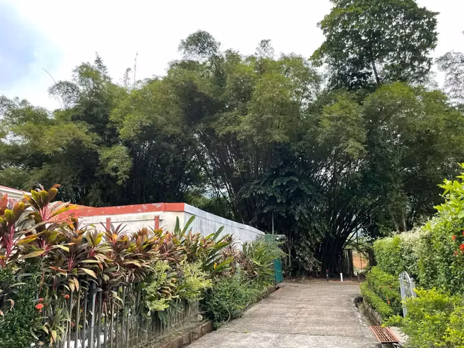 CASA CON ENCANTO Y VISTAS PANORÁMICAS AL BOSQUE - Imagen 6
