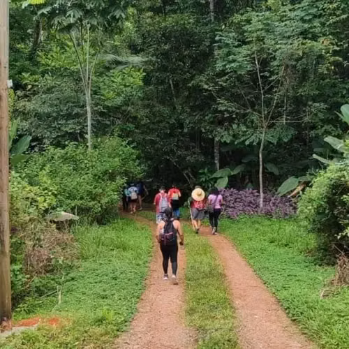 Increíble Propiedad Ecológica con 4 Espectaculares Cascadas - Imagen 8