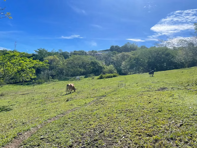 En venta: Terreno para desarrollo en Santa Ana - Imagen 2