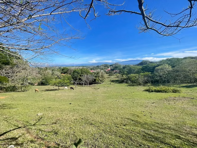 En venta: Terreno para desarrollo en Santa Ana - Imagen 8