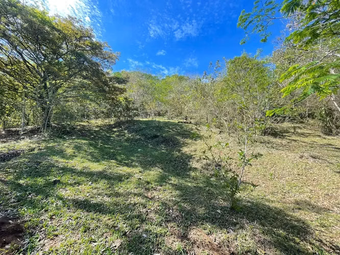 En venta: Terreno para desarrollo en Santa Ana - Imagen 5