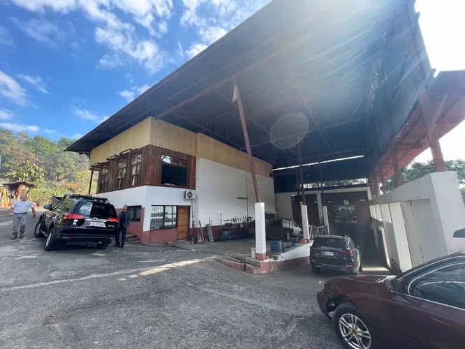 Venta Finca de Café, Beneficio y casa en Atenas - Imagen 6