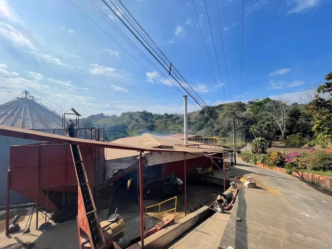 Venta Finca de Café, Beneficio y casa en Atenas - Imagen 1