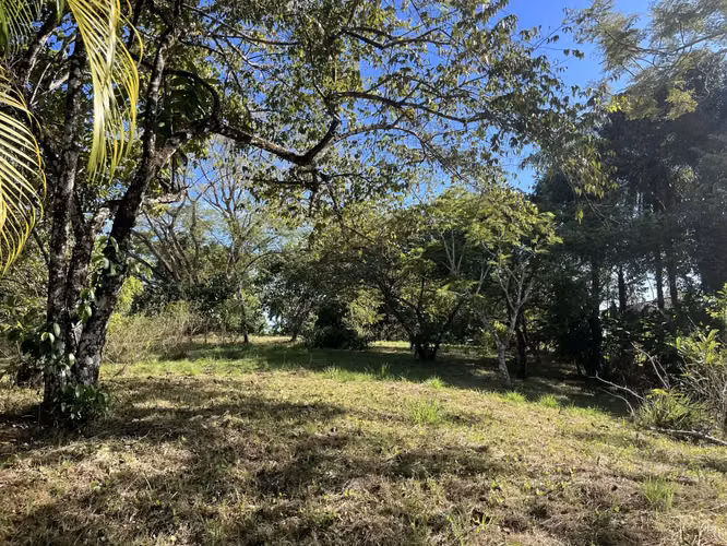 Lote de 4000m2 con vista parcial al mar en Delicias cerca de Montezuma y a 20 min de Santa Teresa Listo para construir - Imagen 11