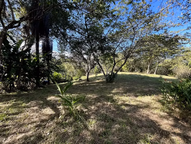 Lote de 4000m2 con vista parcial al mar en Delicias cerca de Montezuma y a 20 min de Santa Teresa Listo para construir - Imagen 16