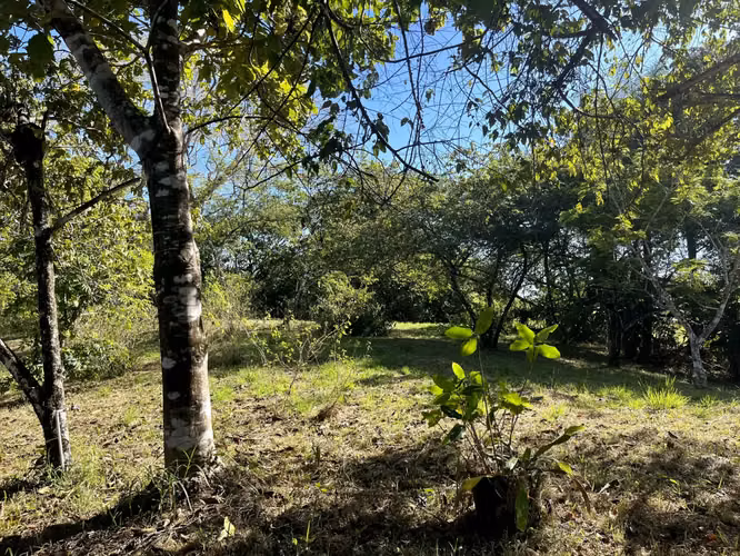 Lote de 4000m2 con vista parcial al mar en Delicias cerca de Montezuma y a 20 min de Santa Teresa Listo para construir - Imagen 10