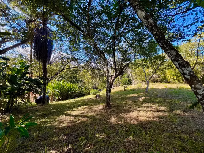 Lote de 4000m2 con vista parcial al mar en Delicias cerca de Montezuma y a 20 min de Santa Teresa Listo para construir - Imagen 7