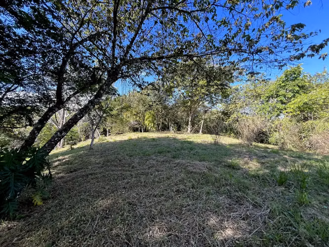 Lote de 4000m2 con vista parcial al mar en Delicias cerca de Montezuma y a 20 min de Santa Teresa Listo para construir - Imagen 17
