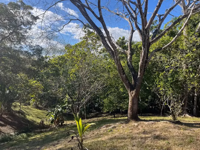 Lote de 4000m2 con vista parcial al mar en Delicias cerca de Montezuma y a 20 min de Santa Teresa Listo para construir - Imagen 9