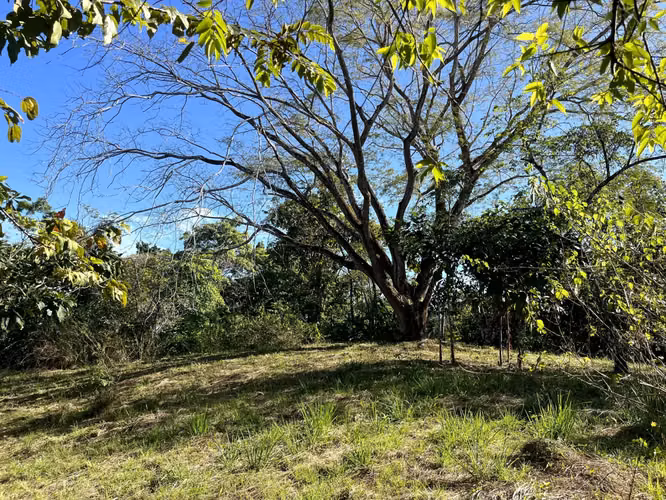 Lote de 4000m2 con vista parcial al mar en Delicias cerca de Montezuma y a 20 min de Santa Teresa Listo para construir - Imagen 13