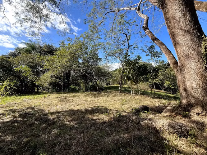 Lote de 4000m2 con vista parcial al mar en Delicias cerca de Montezuma y a 20 min de Santa Teresa Listo para construir - Imagen 4