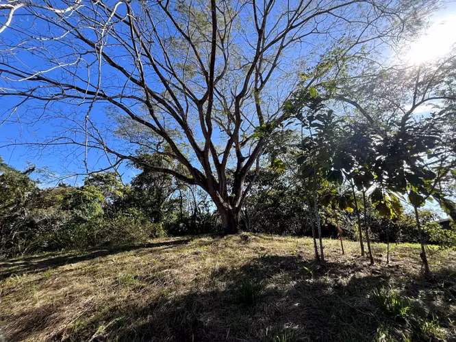 Lote de 4000m2 con vista parcial al mar en Delicias cerca de Montezuma y a 20 min de Santa Teresa Listo para construir - Imagen 5