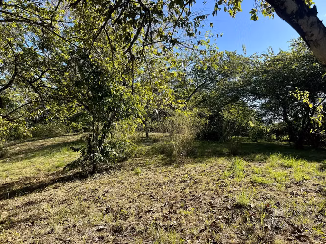 Lote de 4000m2 con vista parcial al mar en Delicias cerca de Montezuma y a 20 min de Santa Teresa Listo para construir - Imagen 12