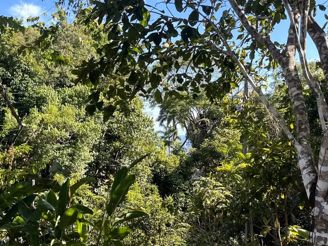 Lote de 4000m2 con vista parcial al mar en Delicias cerca de Montezuma y a 20 min de Santa Teresa Listo para construir - Imagen 15