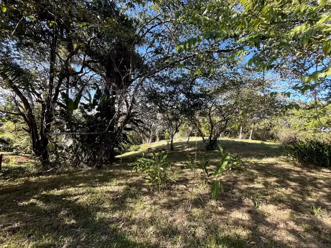 Lote de 4000m2 con vista parcial al mar en Delicias cerca de Montezuma y a 20 min de Santa Teresa Listo para construir - Imagen 14