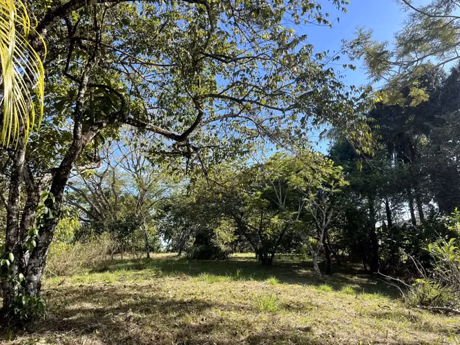 Lote de 4000m2 con vista parcial al mar en Delicias cerca de Montezuma y a 20 min de Santa Teresa Listo para construir