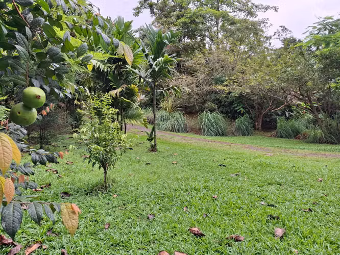 Retiro Eco-Lodge Bijagual: Vida sostenible con casas de huéspedes, acceso al río y exuberantes jardines. - Imagen 10