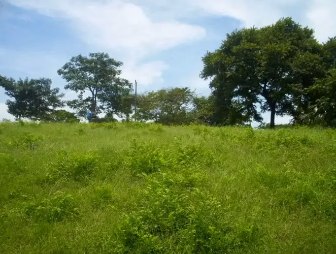 Lote de 2,027 m² con vista al mar en Guacalillo - Imagen 7