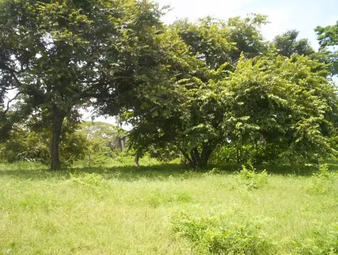 Lote de 2,027 m² con vista al mar en Guacalillo - Imagen 4