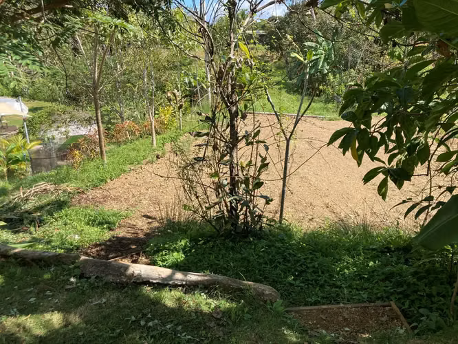 Increíble propiedad estilo resort artístico en venta en San Isidro - Imagen 18