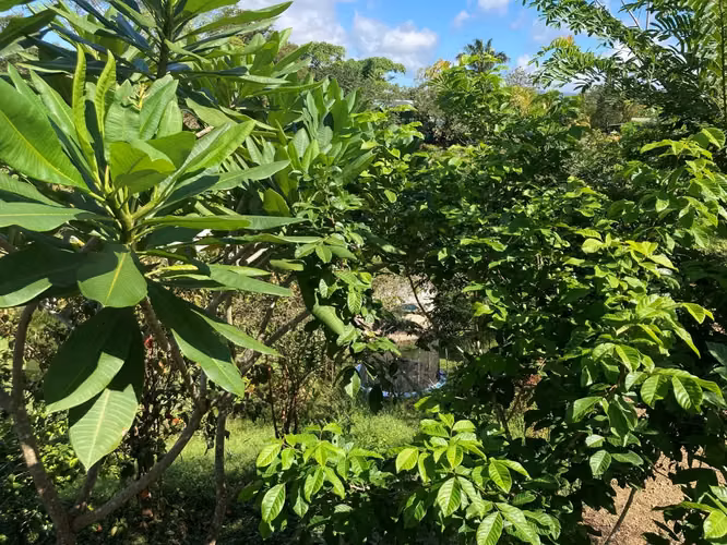 Increíble propiedad estilo resort artístico en venta en San Isidro - Imagen 20