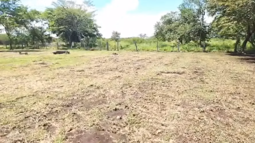 Terreno de primera en La Fortuna, Bagaces - ¡Construye la casa de tus sueños! - Imagen 9