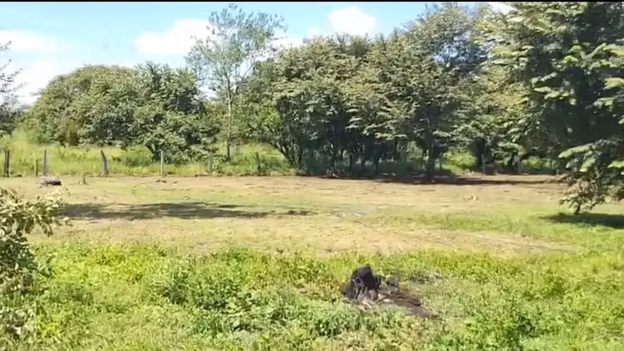 Terreno de primera en La Fortuna, Bagaces - ¡Construye la casa de tus sueños! - Imagen 6