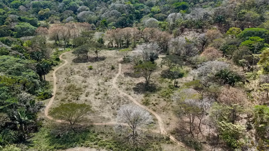 Sitio para desarrollo turístico frente al mar en el Pacífico Central | 111,9 acres - Imagen 12