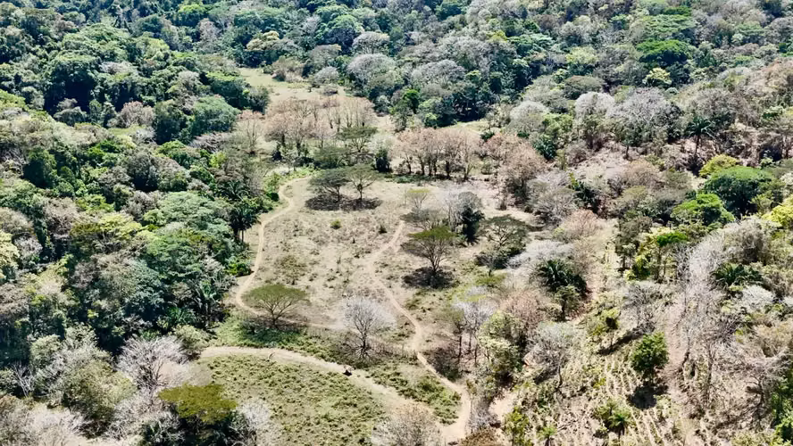 Sitio para desarrollo turístico frente al mar en el Pacífico Central | 111,9 acres - Imagen 18