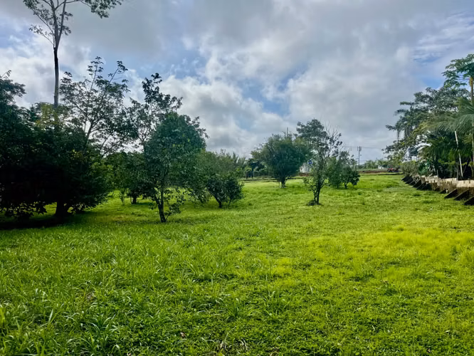 Amplio lote de 2,600 m2 con árboles frutales cerca de Santa Teresa - Listo para construir - Imagen 2