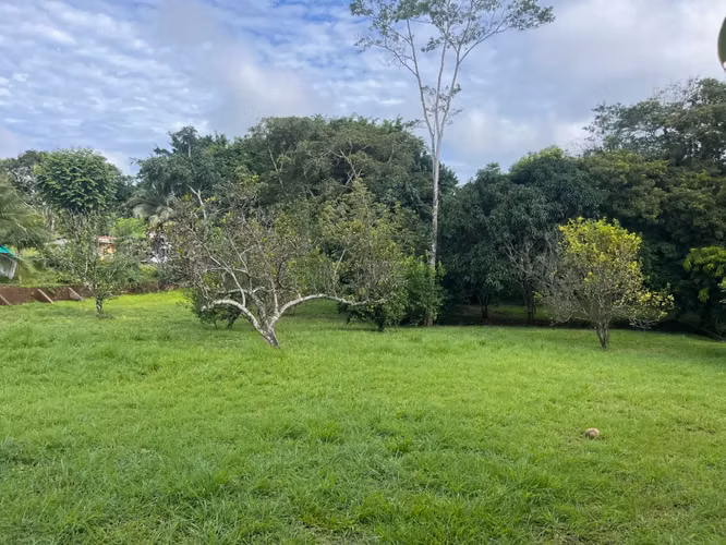 Amplio lote de 2,600 m2 con árboles frutales cerca de Santa Teresa - Listo para construir - Imagen 3