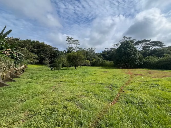 Amplio lote de 2,600 m2 con árboles frutales cerca de Santa Teresa - Listo para construir - Imagen 5
