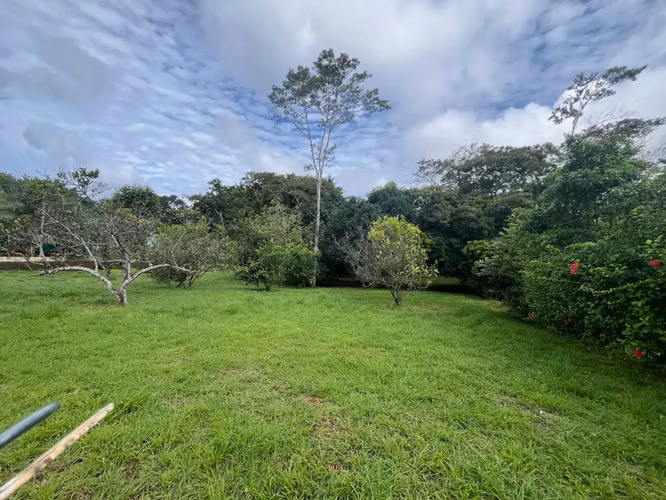 Amplio lote de 2,600 m2 con árboles frutales cerca de Santa Teresa - Listo para construir - Imagen 6