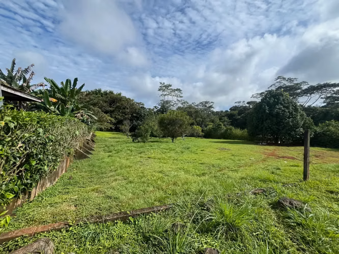 Amplio lote de 2,600 m2 con árboles frutales cerca de Santa Teresa - Listo para construir - Imagen 7