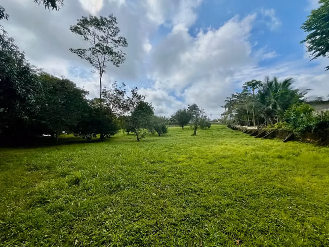 Amplio lote de 2,600 m2 con árboles frutales cerca de Santa Teresa - Listo para construir