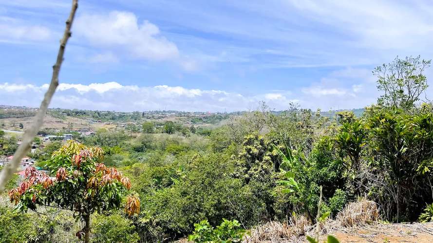 TERRENO EN VENTA EN SAN ISIDRO, SAN RAMÓN - Imagen 15