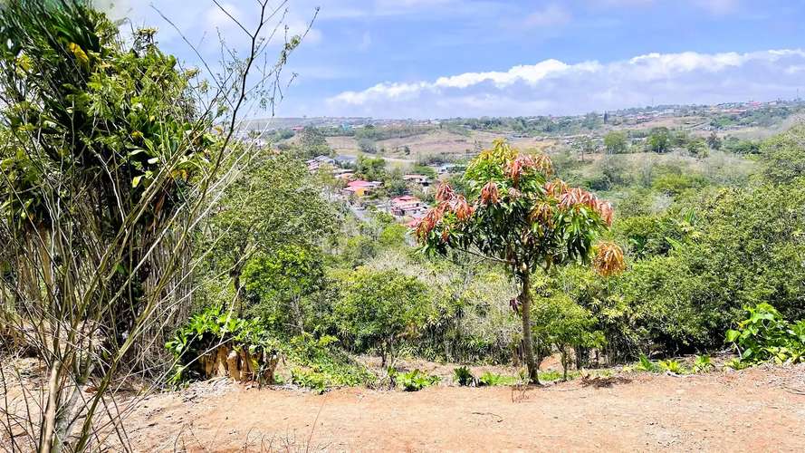 TERRENO EN VENTA EN SAN ISIDRO, SAN RAMÓN - Imagen 14