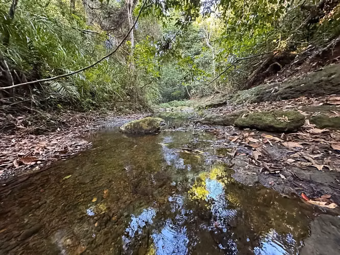 Excepcional Finca de 32 Hectáreas en Venta Cerca de Santa Teresa, Costa Rica – $12.50/m²