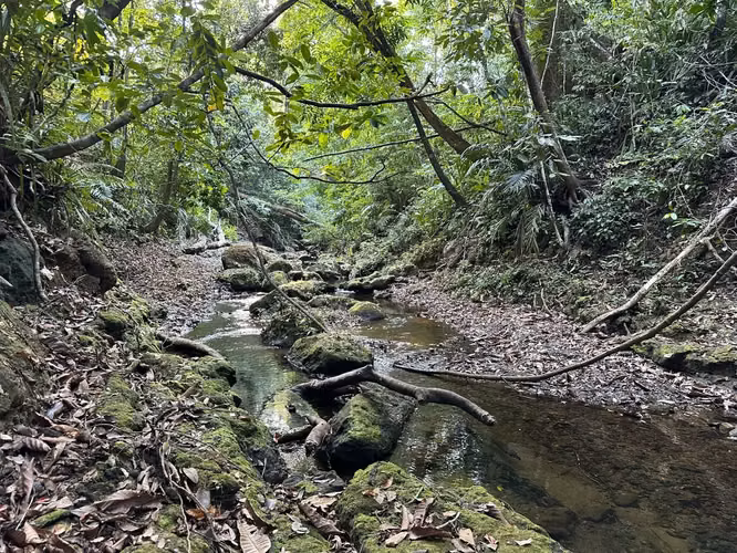 Excepcional Finca de 32 Hectáreas en Venta Cerca de Santa Teresa, Costa Rica – $12.50/m² - Imagen 7
