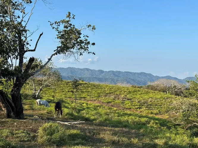 Excepcional Finca de 32 Hectáreas en Venta Cerca de Santa Teresa, Costa Rica – $12.50/m² - Imagen 11