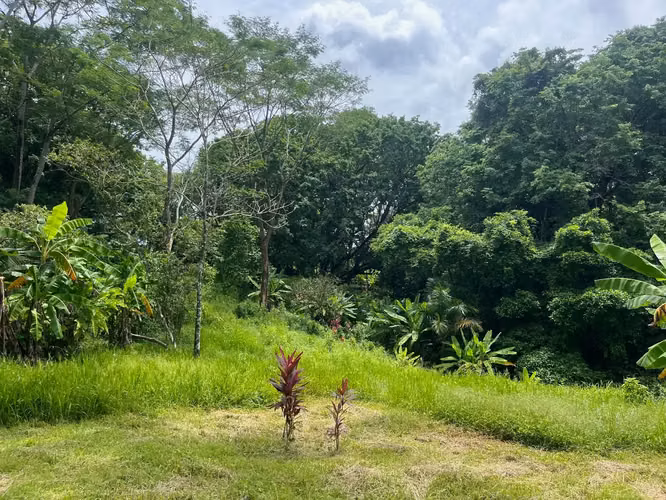 Propiedad de ensueño en Delicias: 7.100 m² de terreno exuberante con arroyo y árboles frutales, a minutos de Santa Teresa. - Imagen 4
