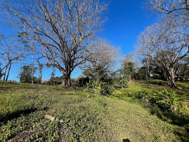 Propiedad de ensueño en Delicias: 7.100 m² de terreno exuberante con arroyo y árboles frutales, a minutos de Santa Teresa. - Imagen 9
