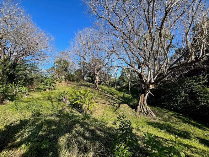 Propiedad de ensueño en Delicias: 7.100 m² de terreno exuberante con arroyo y árboles frutales, a minutos de Santa Teresa. - Imagen 8
